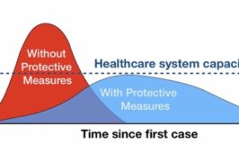 flatten out the curve to prevent overwhelming the healthcare system